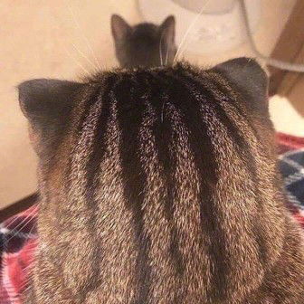 ส้ม profile icon