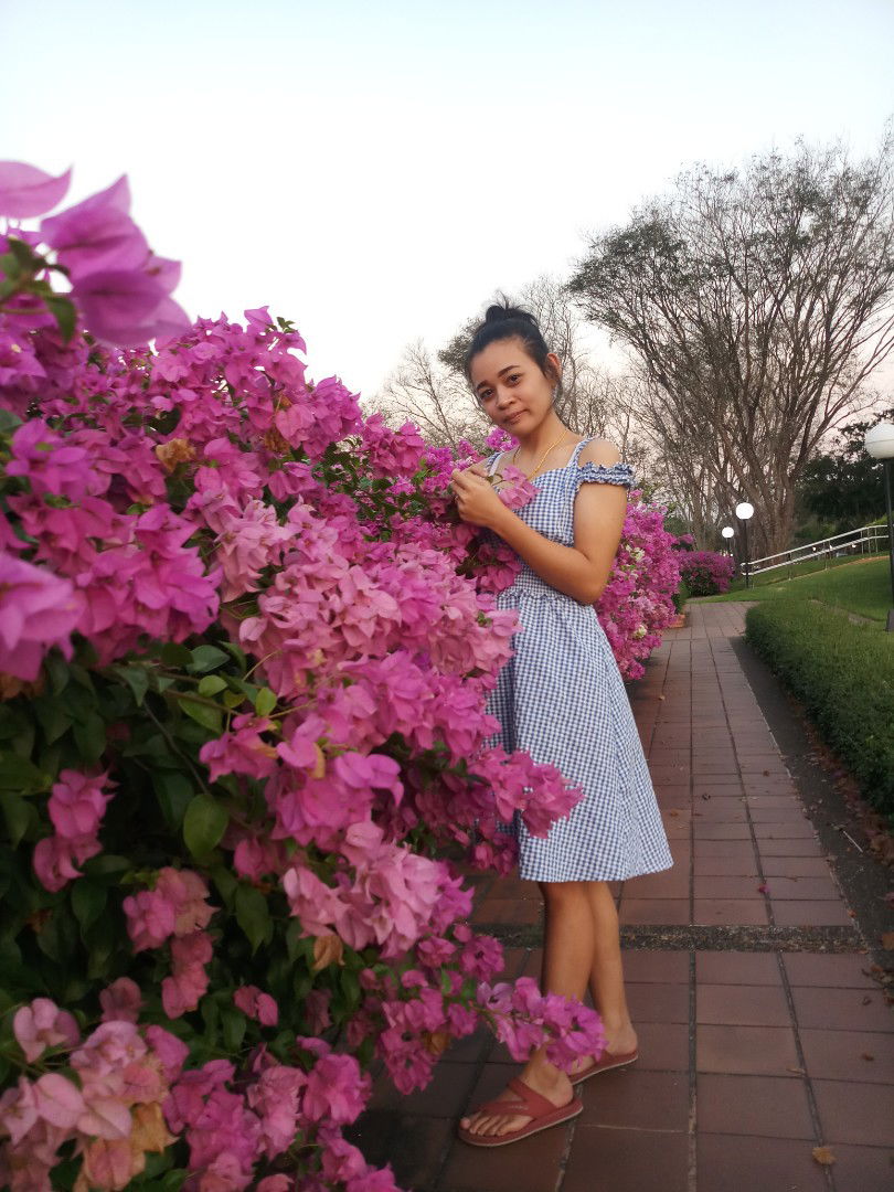 Thitima Yonglan profile icon