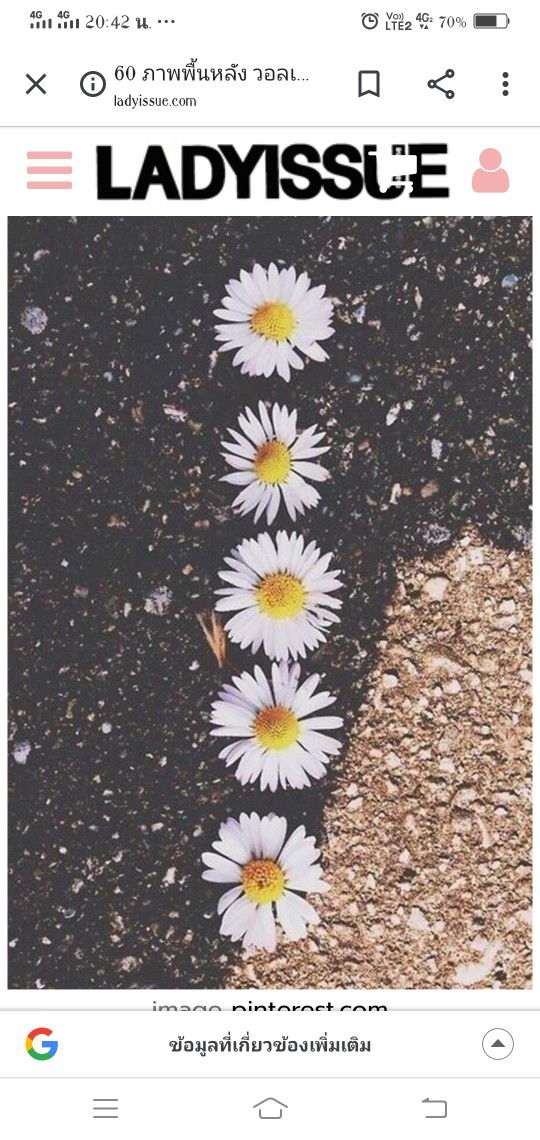 ada,lalil profile icon