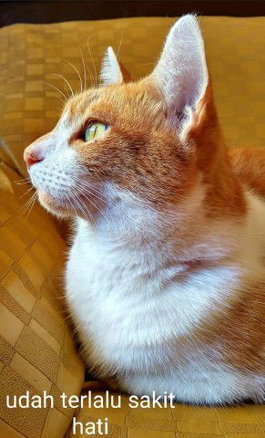 Miss Neni profile icon