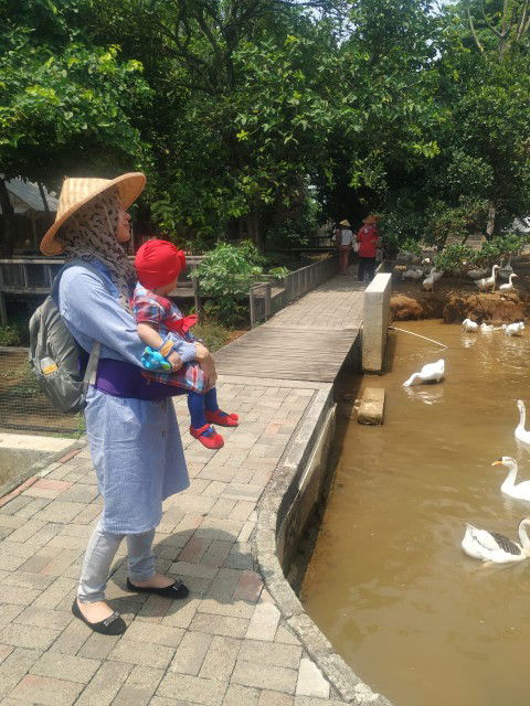 Chichin profile icon