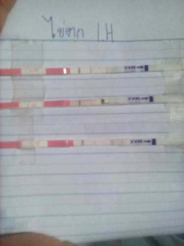 ตรวจไข่