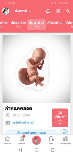 ทีมเดือนมิถุนา