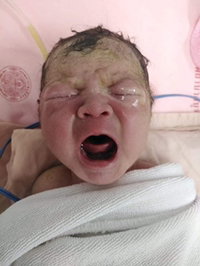 Noo Pui Sato profile icon