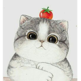 Lisa Rosalita profile icon