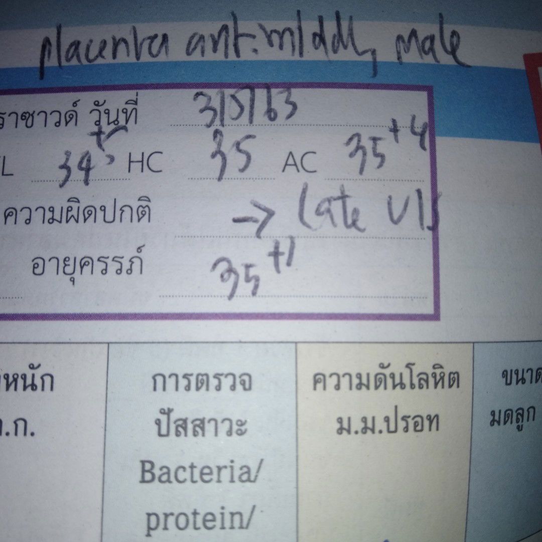 ใครแปลได้บอกหน่อยค่ะ