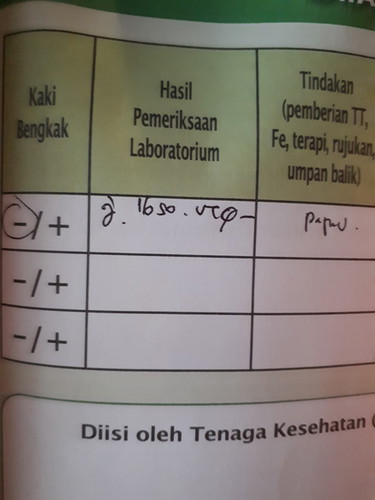Kehamilan