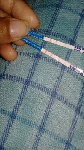 kehamilan