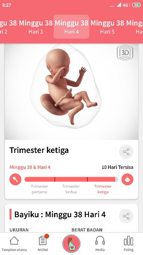 induksi