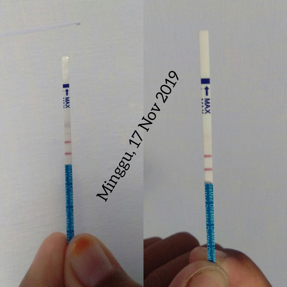 Hasil TP 1 & 2 sebelum USG