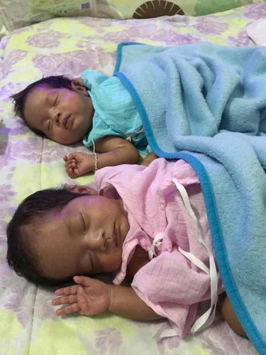 พี่สตาร์ น้องสโนว์