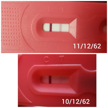 ท้อง/ไม่ท้อง?