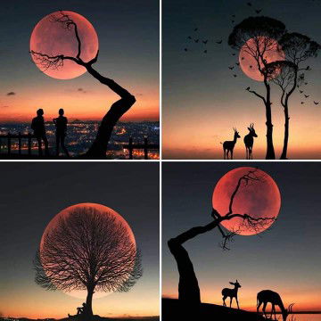 Praphtson Kradkrayang profile icon