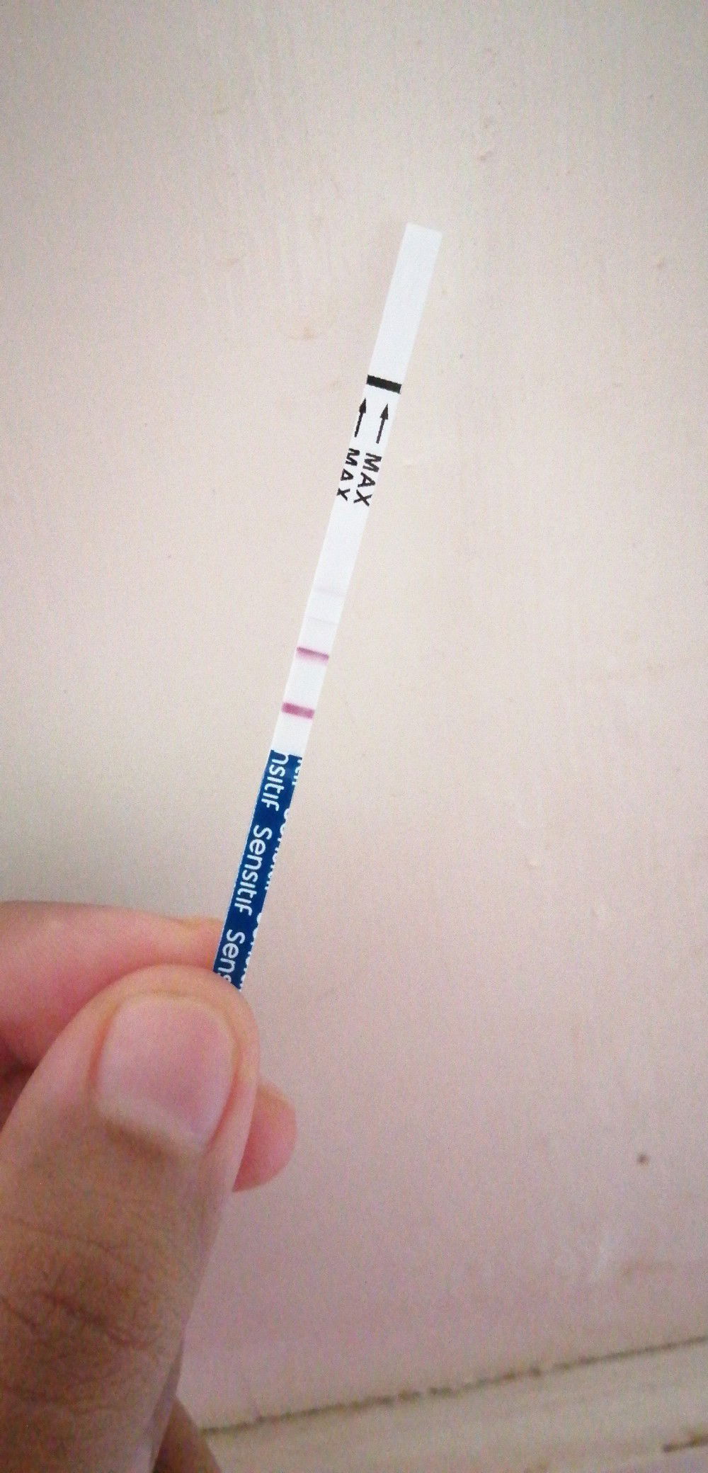 Akunnyabunda profile icon