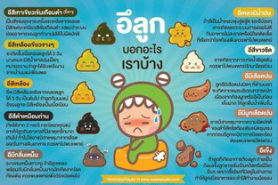 อึลูกบอกอะไรบ้าง