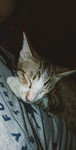 smild profile icon