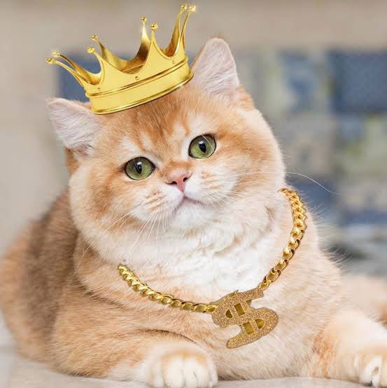 วันนึงฉันจะเข้มแข็ง profile icon