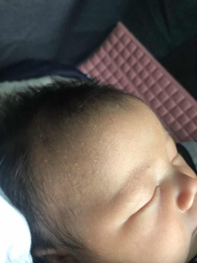 Biang keringat/bukan?