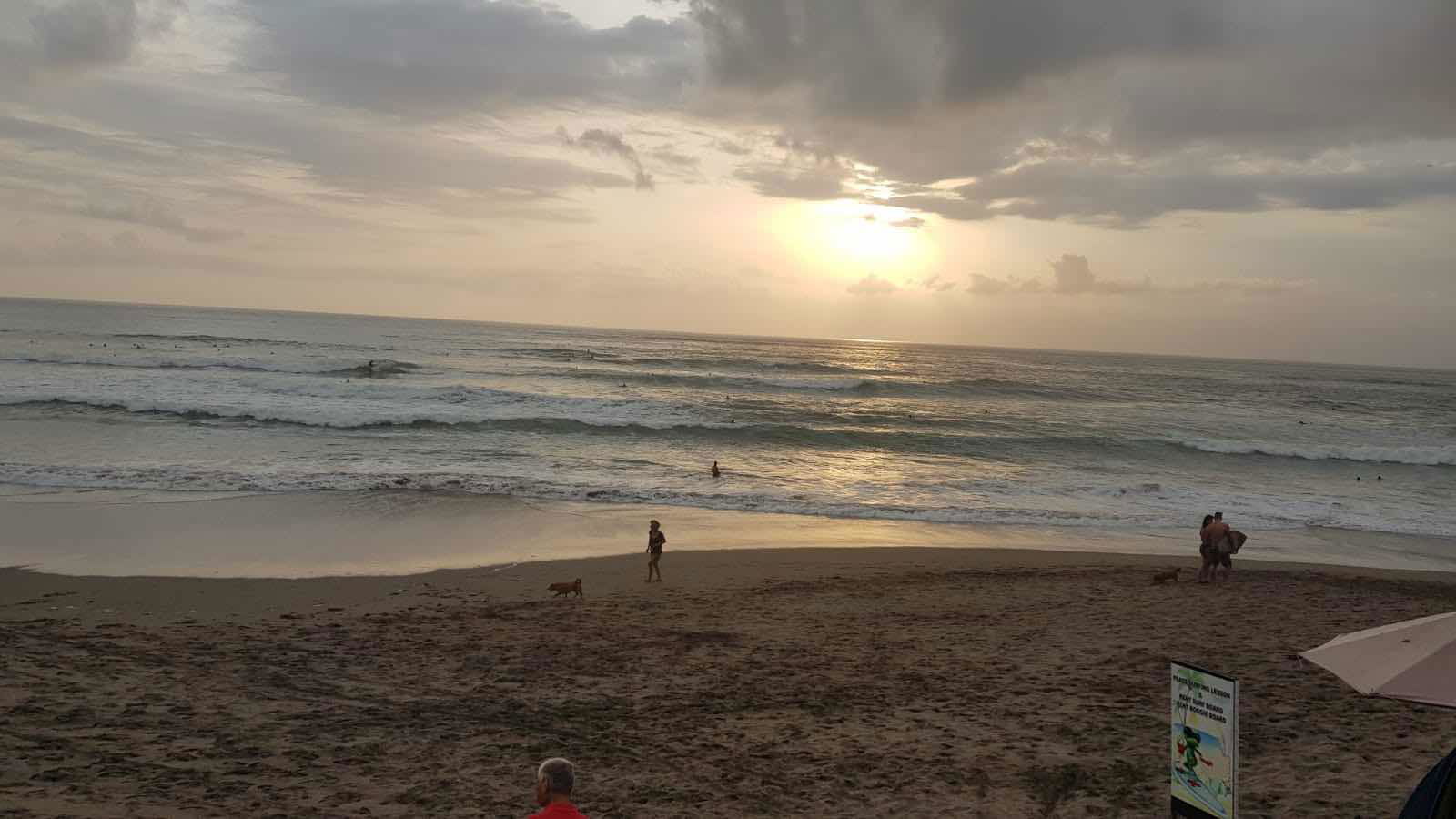 Yanwenjieru profile icon