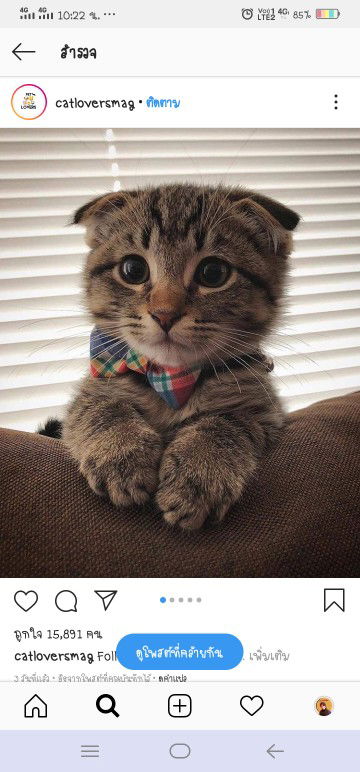 ฉันและเธอ profile icon