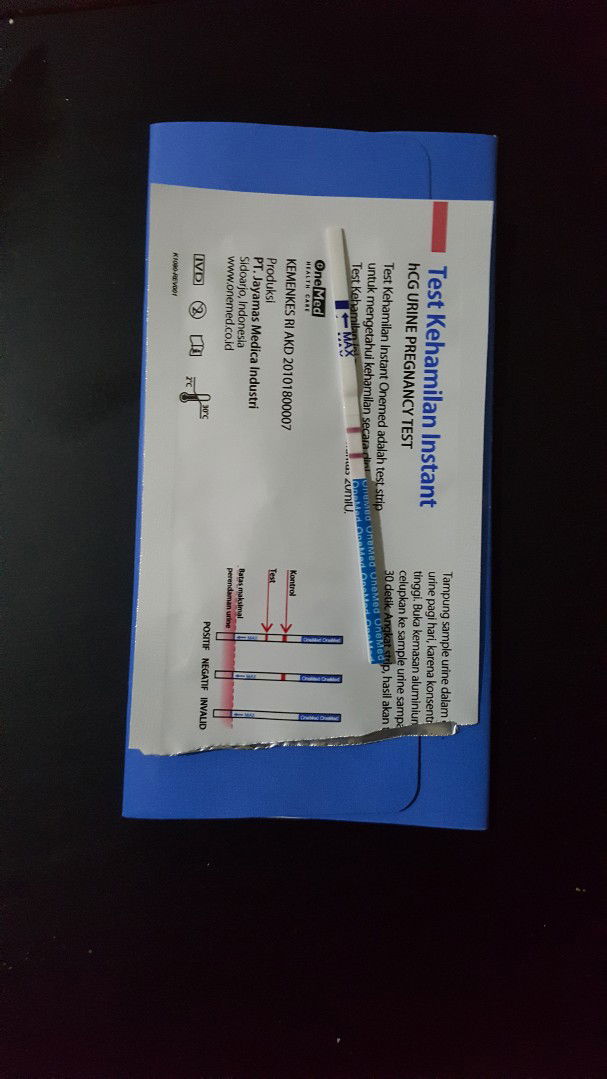 Hamil Lagi Setelah Bayiku Umur 10 Bulan