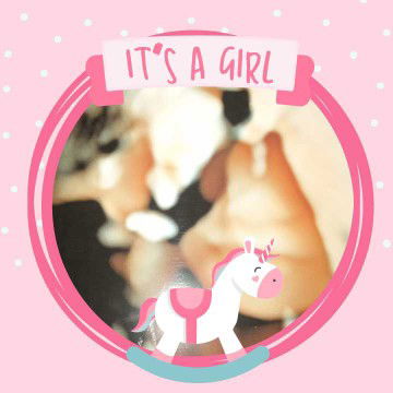 Novelita profile icon