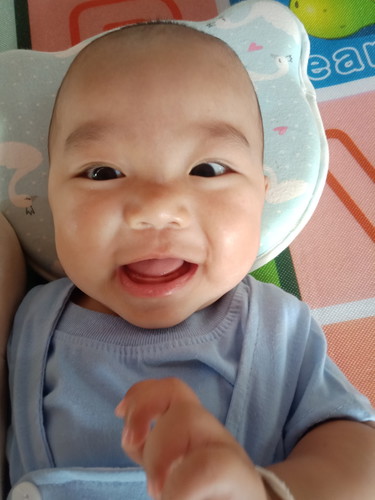 น้องฉลาม