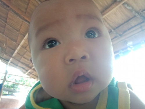 น้องฉลาม