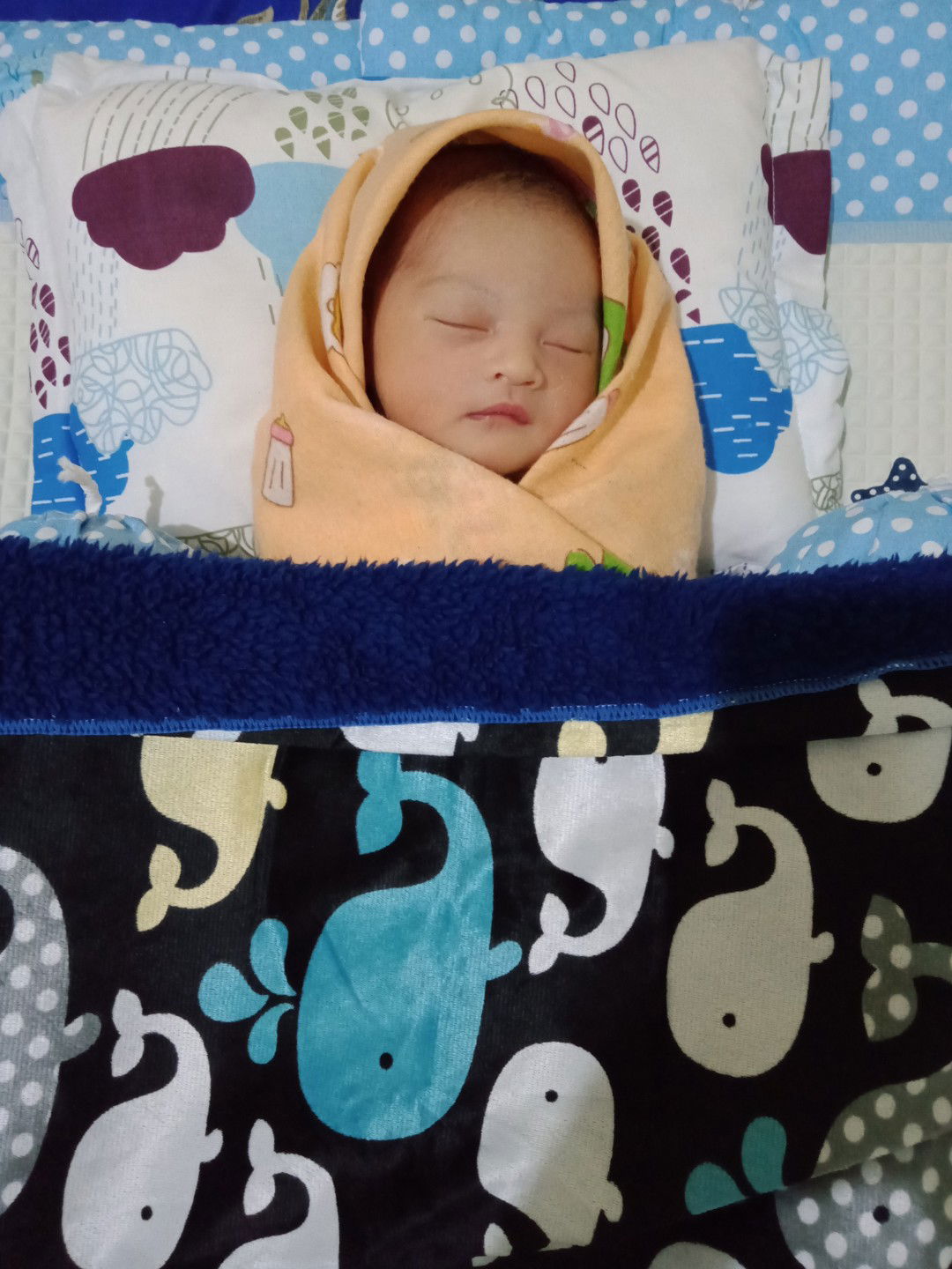 Maria Ulfah profile icon