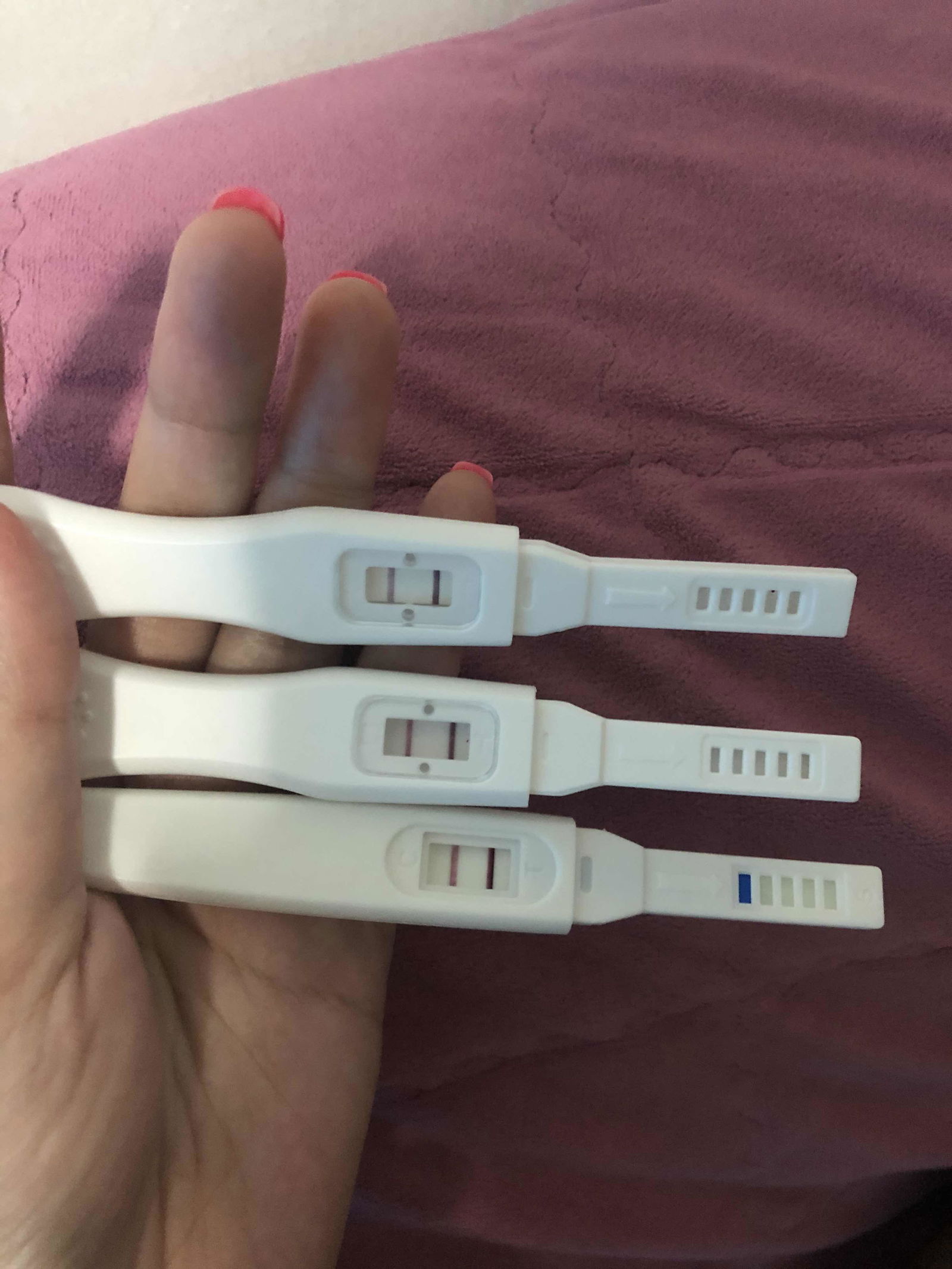 immaffam profile icon