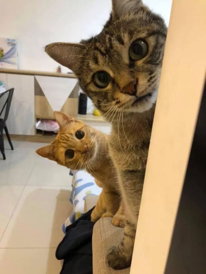 ศมานันท์ ฉ่ำพะเนาว์ profile icon