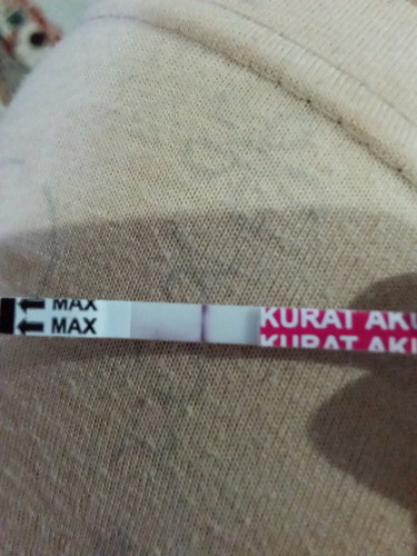 kehamilan