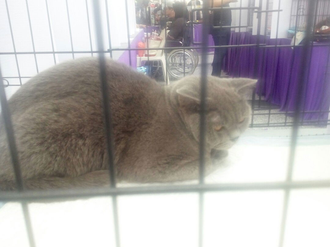 mrs.ila profile icon