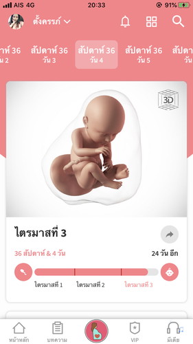 ทีมเมษา