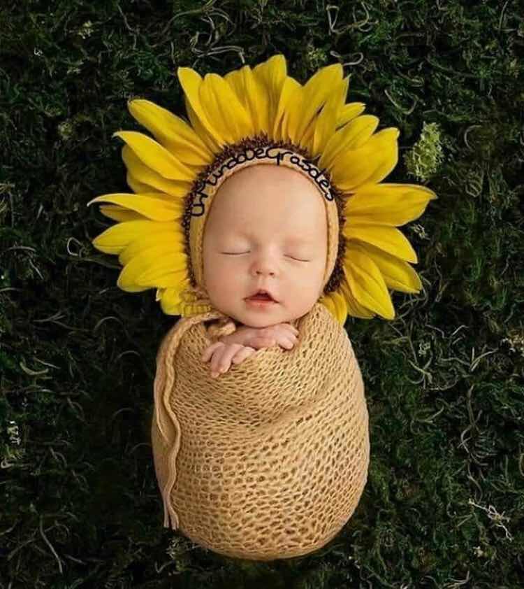 Shintara profile icon