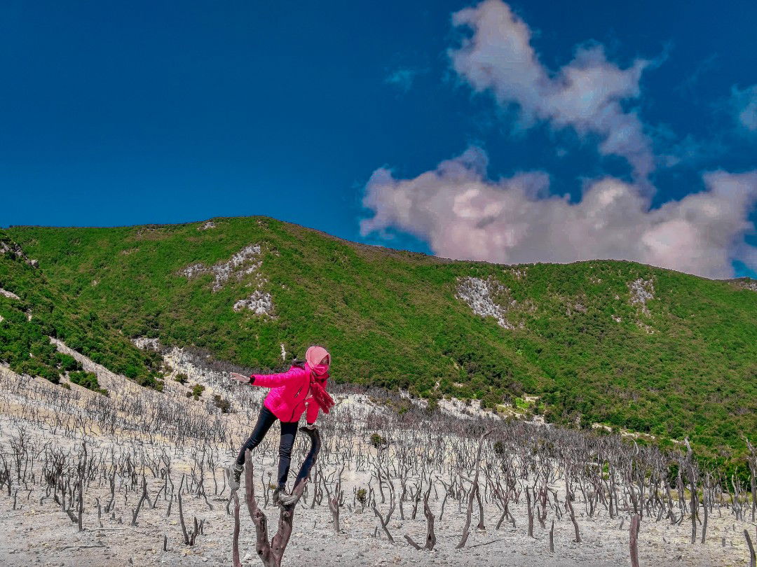 Mei Ardila profile icon