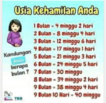 TABEL KEHAMILAN