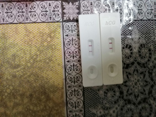 Pregnancy Test