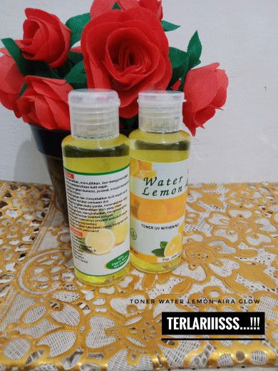 perawatan saat hamil