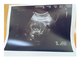 H'ussabee M'esawat profile icon