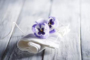 Alfahanifah profile icon