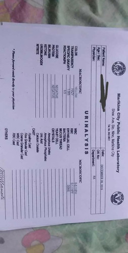 Urinalysis Result