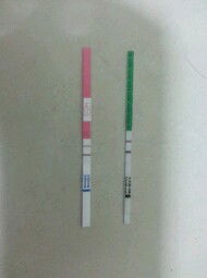 อยากดูพัตนาการของลูกตั้งแต่เริ่มตั้งท้องจนถึงวันคลอดค่ะ