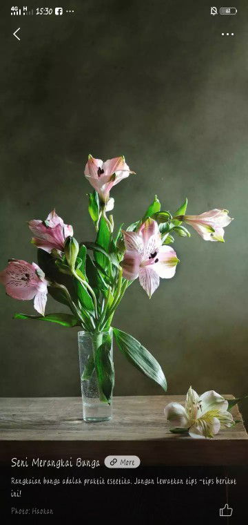 amalia putri profile icon