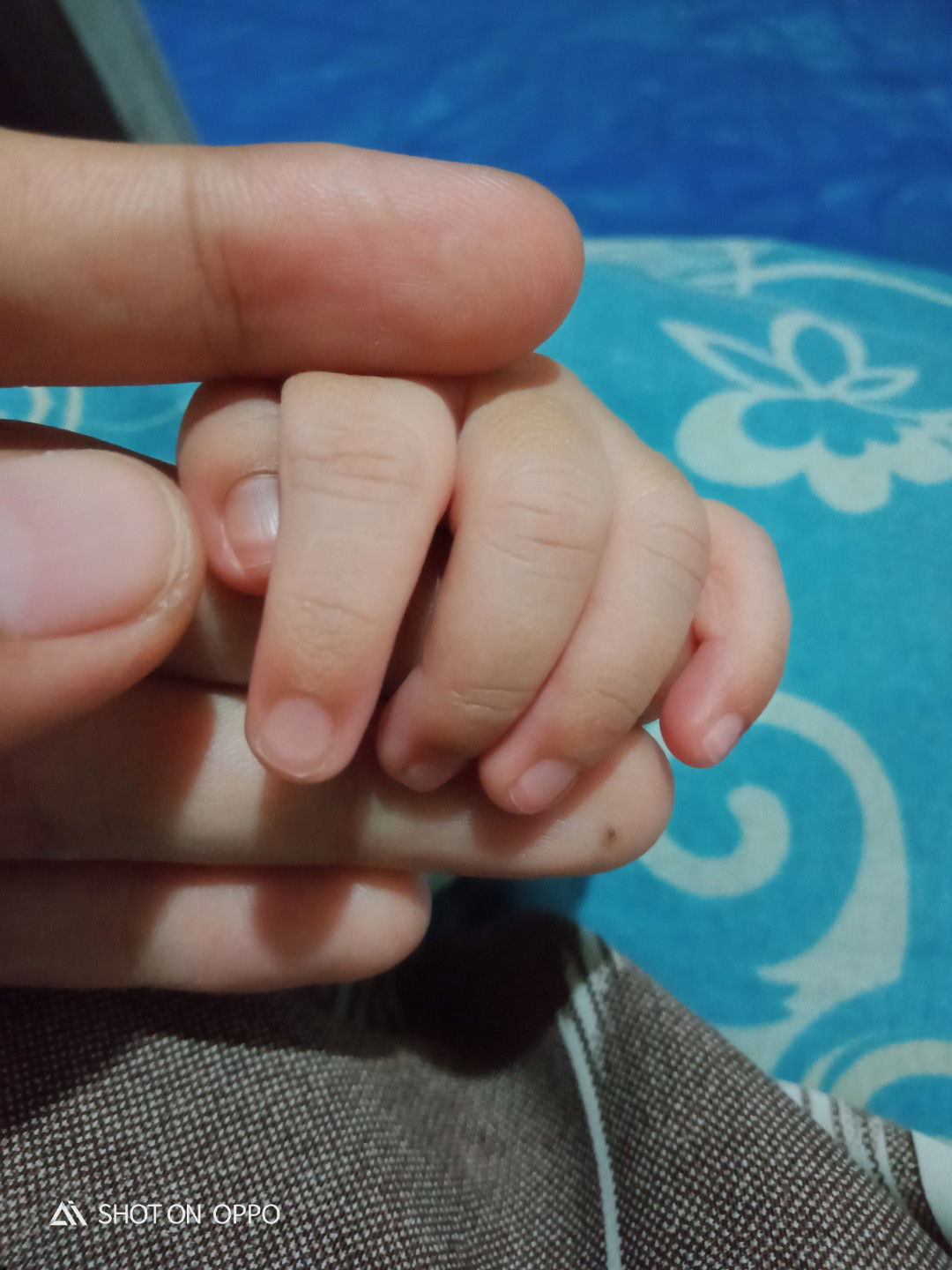 Al Qori'ah profile icon