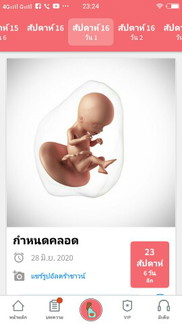 4เดือน