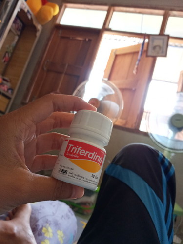 ไตรเฟอร์ดีน