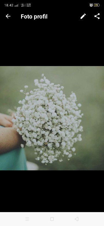 Dini Supriadhi profile icon