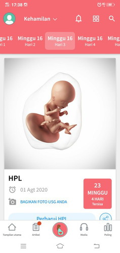 seputar kehamilan