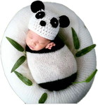 Panda profile icon